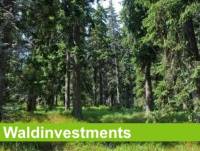 Waldinvestment, Agrarinvestment, Direktinvestition, Baumkauf, Kiribaum, Baumsparen, Baumfonds